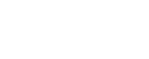 Cavini Management